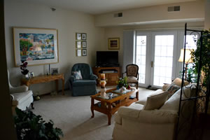 photo full window panels