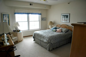 photo full window panels